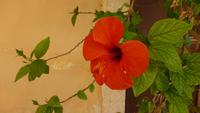 P1090133 &ndash; &copy; Doreen Gerlach (Eberhardt TRAVEL)