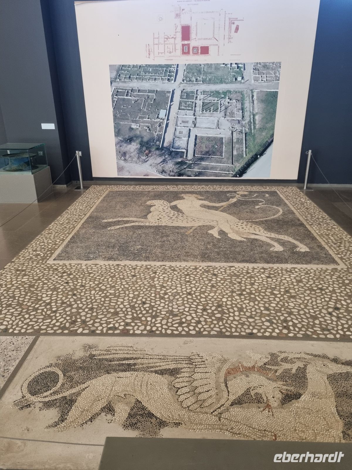 Archäologisches Museum von Pella (Mosaik aus dem Haus des Dionysos) &ndash; &copy; Katrin Deutschbein (Eberhardt TRAVEL)