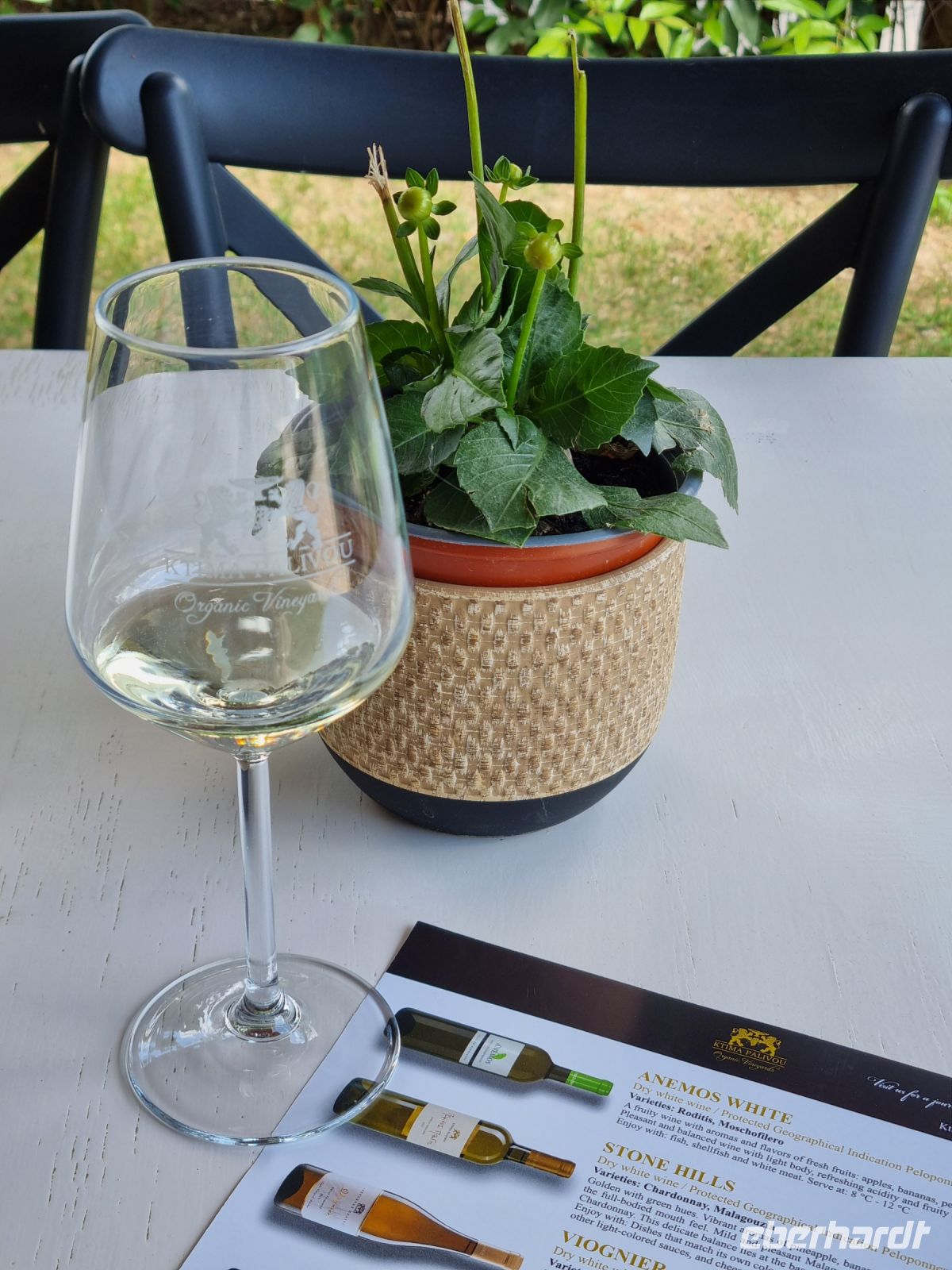 Weingut 