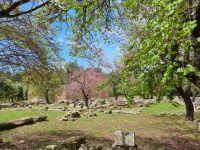 Olympia - Theokoleon (Priestersitz) &ndash; &copy; Katrin Deutschbein (Eberhardt TRAVEL)