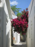 in Chalki &ndash; &copy; Heike Heinen (Eberhardt TRAVEL)