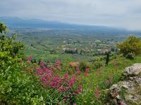 Mystras  &ndash; &copy; Katrin Deutschbein (Eberhardt TRAVEL)