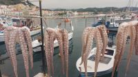 Gythion Peloponnes Bucht mit Calamaro &ndash; &copy; Anette Rietz (Eberhardt TRAVEL)