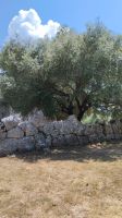 ebenda &ndash; &copy; Julia Kies (Eberhardt TRAVEL)