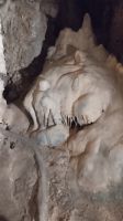 ...und seltsame Kreaturen &ndash; &copy; Julia Kies (Eberhardt TRAVEL)