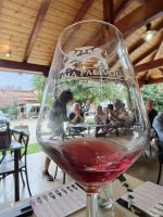 Weingut Palivos &ndash; &copy; Sinah Witzig (Eberhardt TRAVEL)
