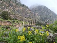 Delphi (Apollontempel) &ndash; &copy; Katrin Deutschbein (Eberhardt TRAVEL)