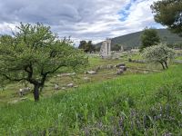 Epidauros  &ndash; &copy; Katrin Deutschbein (Eberhardt TRAVEL)