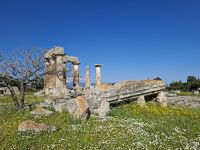 Alt-Korinth (Apollontempel) &ndash; &copy; Katrin Deutschbein (Eberhardt TRAVEL)