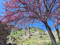 Mystras (Ruinen der byzantinischen Festungsstadt) &ndash; &copy; Katrin Deutschbein (Eberhardt TRAVEL)
