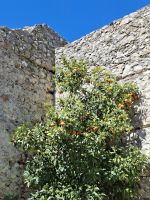 Mystras &ndash; &copy; Katrin Deutschbein (Eberhardt TRAVEL)