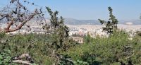 Blick von Akropolis Athen Tempel des Hephaistos &ndash; &copy; Georg Berger (Eberhardt TRAVEL)