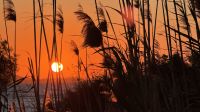 Kykladen, Naxos, Sonnenuntergang  &ndash; &copy; Sabine C. Seifert (Eberhardt TRAVEL)