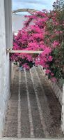 Santorini Impressionen Caldera u. Thira &ndash; &copy; Georg Berger (Eberhardt TRAVEL)