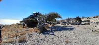 Santorini - Das vorzeitliche Thera &ndash; &copy; Georg Berger (Eberhardt TRAVEL)