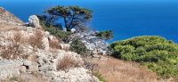 Santorini - Das vorzeitliche Thera &ndash; &copy; Georg Berger (Eberhardt TRAVEL)