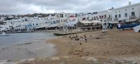 Rundgang Mykonos &ndash; &copy; Georg Berger (Eberhardt TRAVEL)