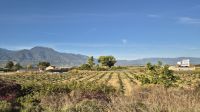 Olymp-Massiv &ndash; &copy; Sinah Witzig (Eberhardt TRAVEL)
