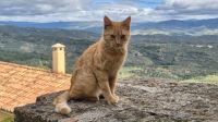 Mistras &ndash; &copy; Sinah Witzig (Eberhardt TRAVEL)