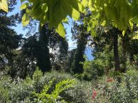 (26) Achilleion-Palast & Garten Korfu.jpg