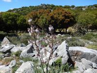 DSCN0972 &ndash; &copy; Doreen Päßler (Eberhardt TRAVEL)