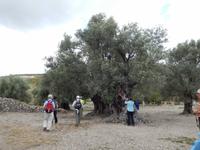 DSCN0996 &ndash; &copy; Doreen Päßler (Eberhardt TRAVEL)