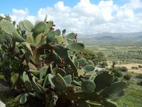 DSCN1049 &ndash; &copy; Doreen Päßler (Eberhardt TRAVEL)