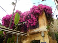 DSCN1204 &ndash; &copy; Doreen Päßler (Eberhardt TRAVEL)