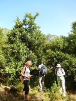 DSCN1307 &ndash; &copy; Doreen Päßler (Eberhardt TRAVEL)