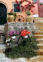 Blumenfahrrad &ndash; &copy; Rico Manns (Eberhardt TRAVEL)