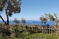 Parthenonas &ndash; &copy; Madlena Voigt (Eberhardt TRAVEL)
