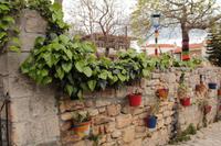 Afytos &ndash; &copy; Madlena Voigt (Eberhardt TRAVEL)