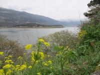 Der Pamvotis See &ndash; &copy; Peter Rudolph (Eberhardt TRAVEL)