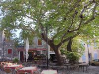 Lesbos, Molivos &ndash; &copy; Ria Heilmann (Eberhardt TRAVEL)