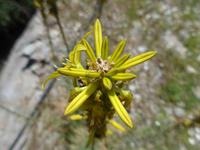 Lesbos &ndash; &copy; Ria Heilmann (Eberhardt TRAVEL)