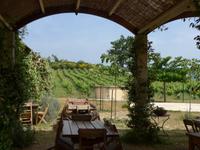 Korfu, Weingut  