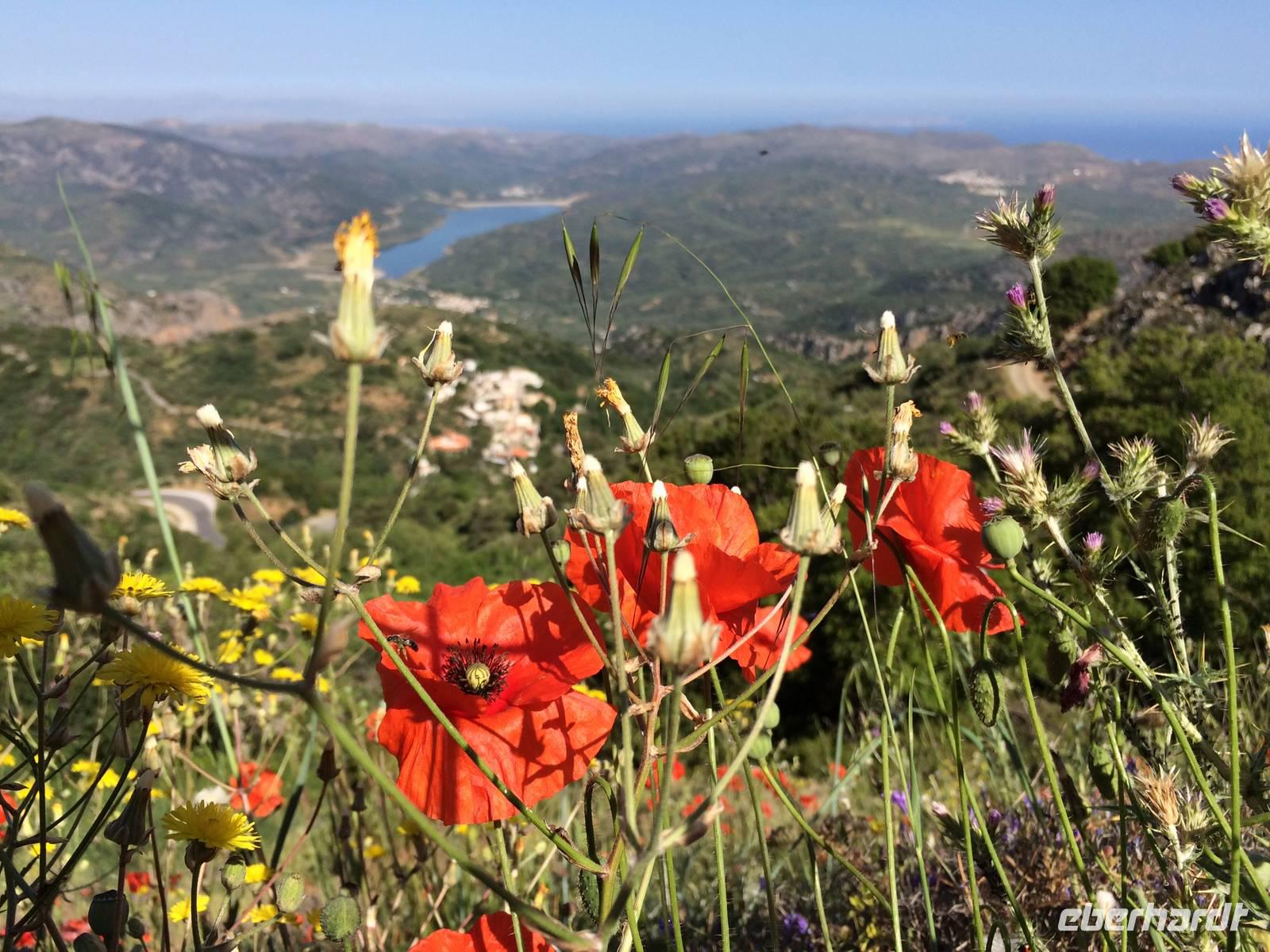 005 Lasithi-Hochebene &ndash; &copy; Ngoc Anh Nguyen (Eberhardt TRAVEL)