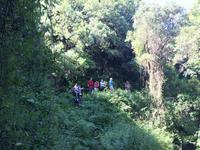 219 Karano-Schlucht &ndash; &copy; Ngoc Anh Nguyen (Eberhardt TRAVEL)