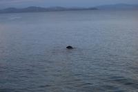 014. Abend in Mati &ndash; &copy; Sophie Hof (Eberhardt TRAVEL)