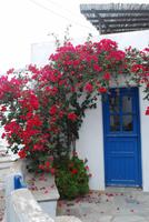 069. Volax &ndash; &copy; Sophie Hof (Eberhardt TRAVEL)