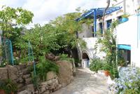 072. Volax &ndash; &copy; Sophie Hof (Eberhardt TRAVEL)
