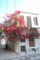 193. Chalki &ndash; &copy; Sophie Hof (Eberhardt TRAVEL)
