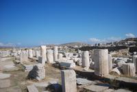 221. Delos &ndash; &copy; Sophie Hof (Eberhardt TRAVEL)