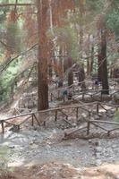 Wanderweg in der Samaria-Schlucht &ndash; &copy; Marcus Richter (Eberhardt TRAVEL)