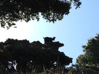 Ziege auf dem Baum &ndash; &copy; Marianne Förster (Eberhardt TRAVEL)