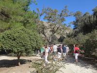 Kreta, Gortys &ndash; &copy; Ria Heilmann (Eberhardt TRAVEL)
