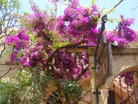 * &ndash; &copy; Astrid Janke (Eberhardt TRAVEL)