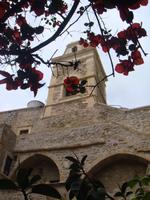 DSC08827 &ndash; &copy; Astrid Janke (Eberhardt TRAVEL)