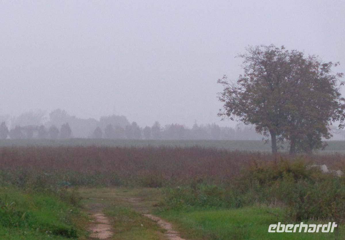002 Morgendunst in der Poebene &ndash; &copy; Peter Rudolph (Eberhardt TRAVEL)