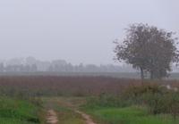 002 Morgendunst in der Poebene &ndash; &copy; Peter Rudolph (Eberhardt TRAVEL)